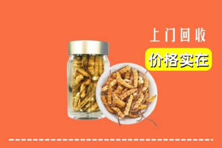潍坊市昌邑回收散虫草